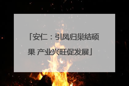 安仁：引凤归巢结硕果 产业兴旺促发展