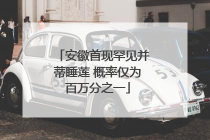 安徽首现罕见并蒂睡莲 概率仅为百万分之一