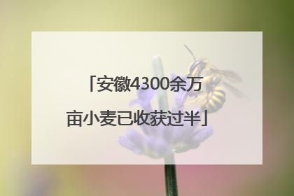 安徽4300余万亩小麦已收获过半