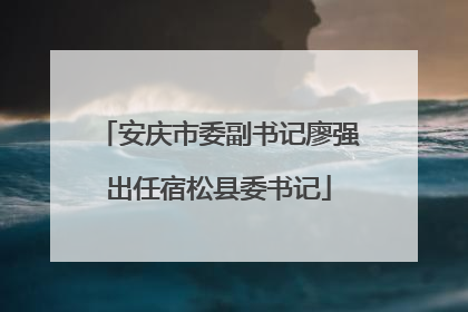 安庆市委副书记廖强出任宿松县委书记