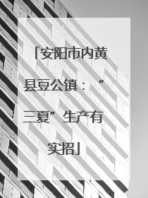 安阳市内黄县豆公镇：“三夏”生产有实招