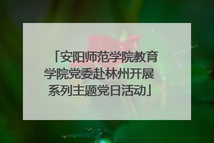 安阳师范学院教育学院党委赴林州开展系列主题党日活动