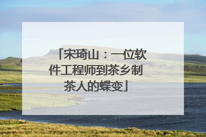 宋琦山：一位软件工程师到茶乡制茶人的蝶变