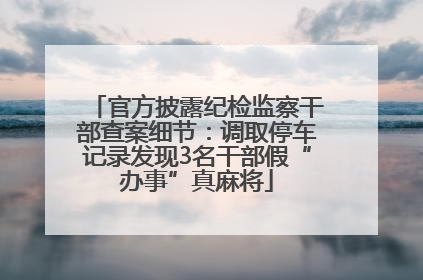 官方披露纪检监察干部查案细节：调取停车记录发现3名干部假“办事”真麻将