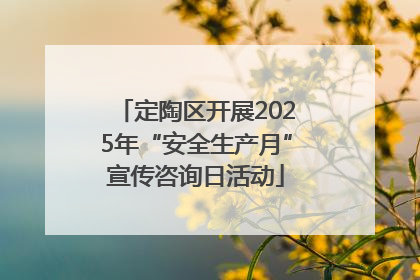 定陶区开展2025年“安全生产月”宣传咨询日活动