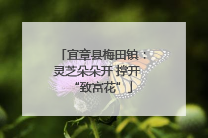宜章县梅田镇：灵芝朵朵开 撑开“致富花”
