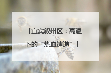 宜宾叙州区：高温下的“热血速递”