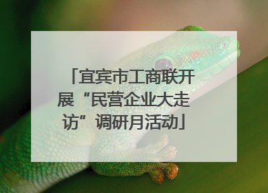 宜宾市工商联开展“民营企业大走访”调研月活动
