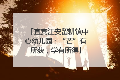 宜宾江安留耕镇中心幼儿园：“芒”有所获，学有所得