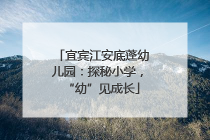 宜宾江安底蓬幼儿园：探秘小学，“幼”见成长