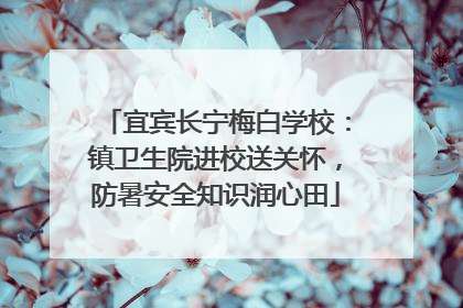 宜宾长宁梅白学校：镇卫生院进校送关怀，防暑安全知识润心田