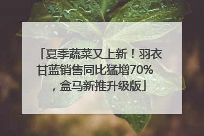 夏季蔬菜又上新！羽衣甘蓝销售同比猛增70%，盒马新推升级版