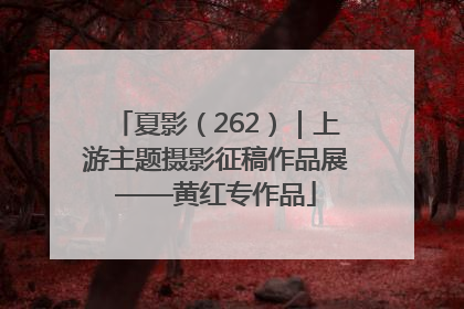 夏影（262）｜上游主题摄影征稿作品展——黄红专作品