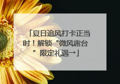 夏日追风打卡正当时！解锁“微风露台”限定礼遇→