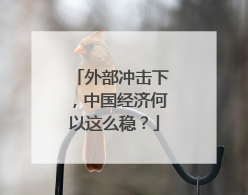 外部冲击下，中国经济何以这么稳？