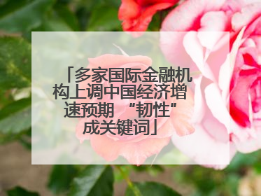 多家国际金融机构上调中国经济增速预期 “韧性”成关键词