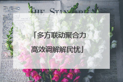 多方联动聚合力 高效调解解民忧