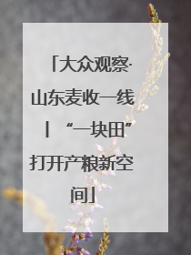 大众观察·山东麦收一线丨“一块田”打开产粮新空间