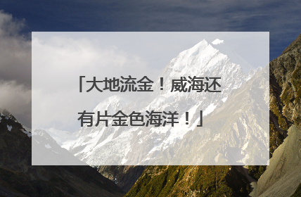 大地流金！威海还有片金色海洋！