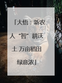大悟：新农人“智”耕沃土 万亩稻田绿意浓