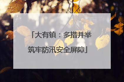 大有镇：多措并举筑牢防汛安全屏障