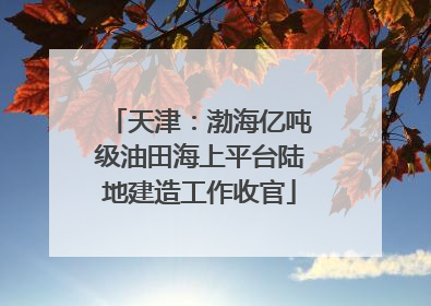 天津：渤海亿吨级油田海上平台陆地建造工作收官