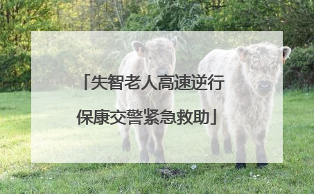 失智老人高速逆行 保康交警紧急救助