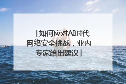 如何应对AI时代网络安全挑战，业内专家给出建议