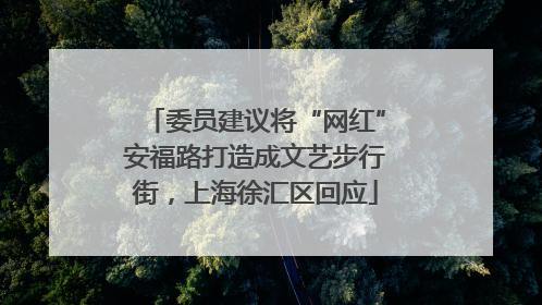 委员建议将“网红”安福路打造成文艺步行街，上海徐汇区回应
