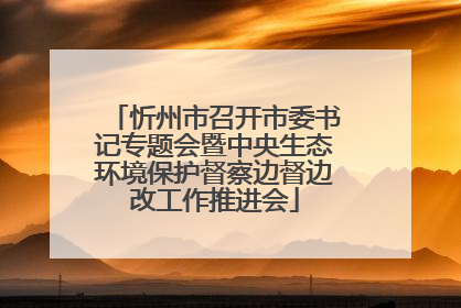 忻州市召开市委书记专题会暨中央生态环境保护督察边督边改工作推进会