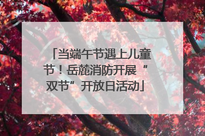 当端午节遇上儿童节！岳麓消防开展“双节”开放日活动