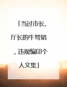 当过市长、厅长的牛弩韬，违规编印个人文集