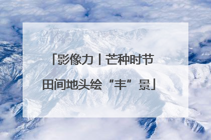 影像力丨芒种时节 田间地头绘“丰”景