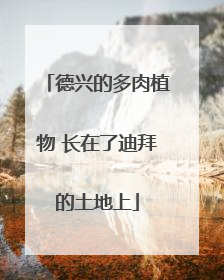 德兴的多肉植物 长在了迪拜的土地上