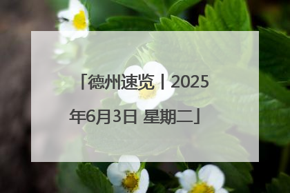 德州速览丨2025年6月3日 星期二