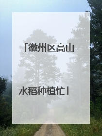 徽州区高山水稻种植忙