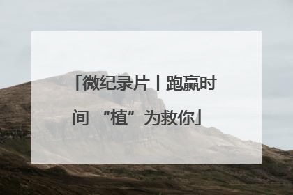 微纪录片丨跑赢时间 “植”为救你