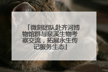 微刻团队赴齐河博物馆群与泉溪生物考察交流，拓展永生传记服务生态