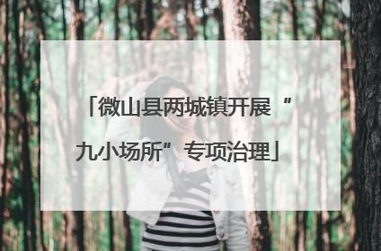 微山县两城镇开展“九小场所”专项治理