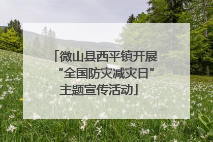微山县西平镇开展“全国防灾减灾日”主题宣传活动