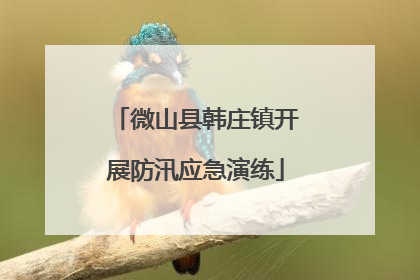 微山县韩庄镇开展防汛应急演练
