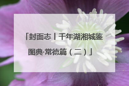 封面志丨千年湖湘城鉴图典·常德篇（二）