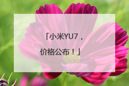 小米YU7，价格公布！