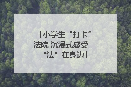 小学生“打卡”法院 沉浸式感受“法”在身边
