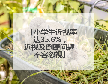 小学生近视率达35.6%，近视及倒睫问题不容忽视