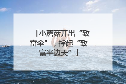 小蘑菇开出“致富伞”，撑起“致富半边天”