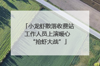 小龙虾散落收费站 工作人员上演暖心“抢虾大战”