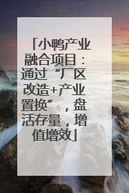 小鸭产业融合项目：通过“厂区改造+产业置换”，盘活存量，增值增效