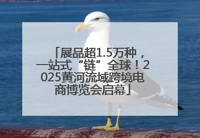 展品超1.5万种，一站式“链”全球！2025黄河流域跨境电商博览会启幕