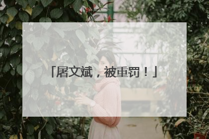 屠文斌，被重罚！